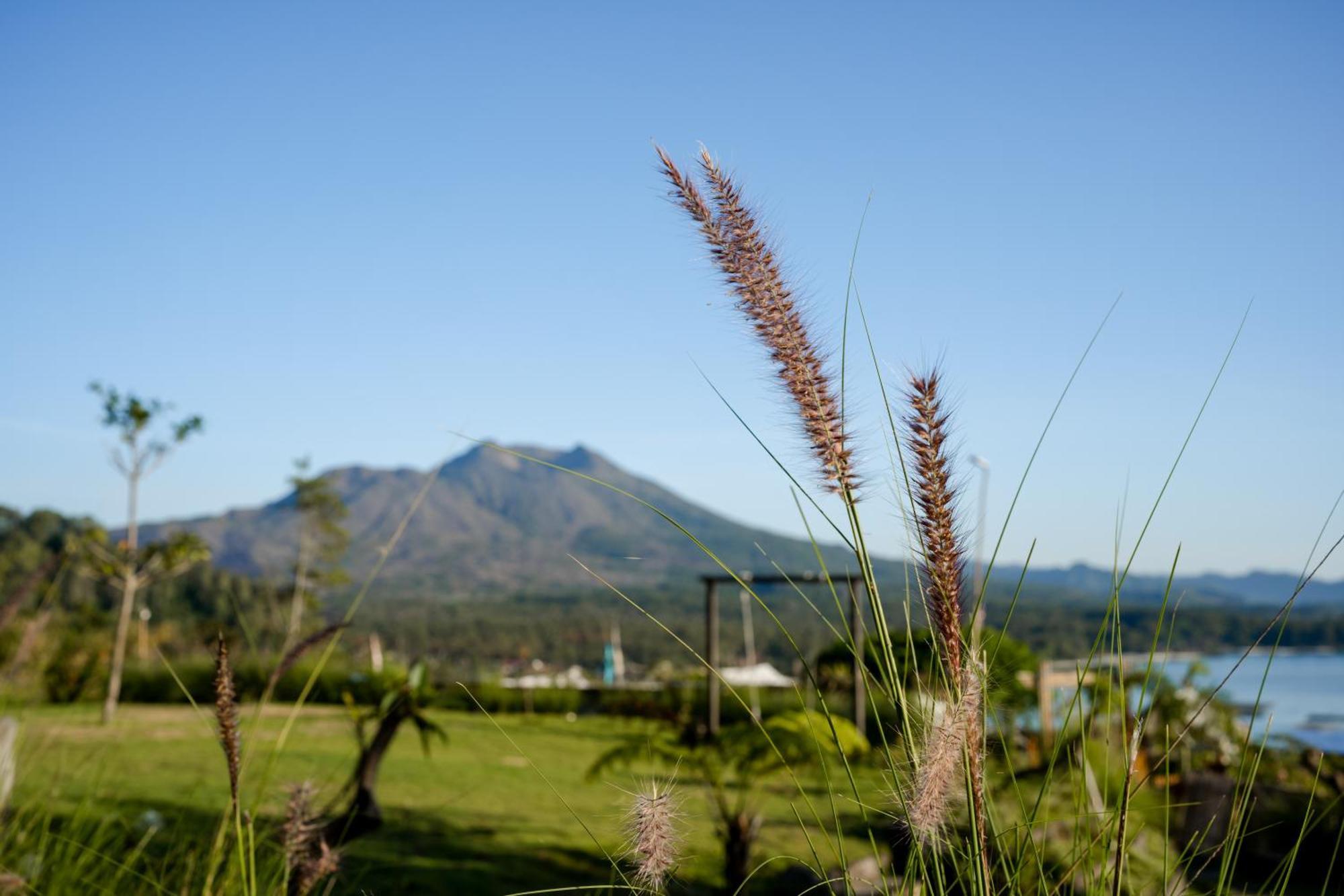 Samuh Camp Kintamani Hotel Buitenkant foto